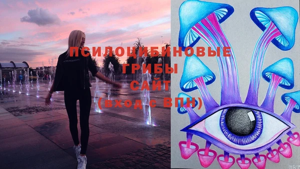 стафф Белокуриха